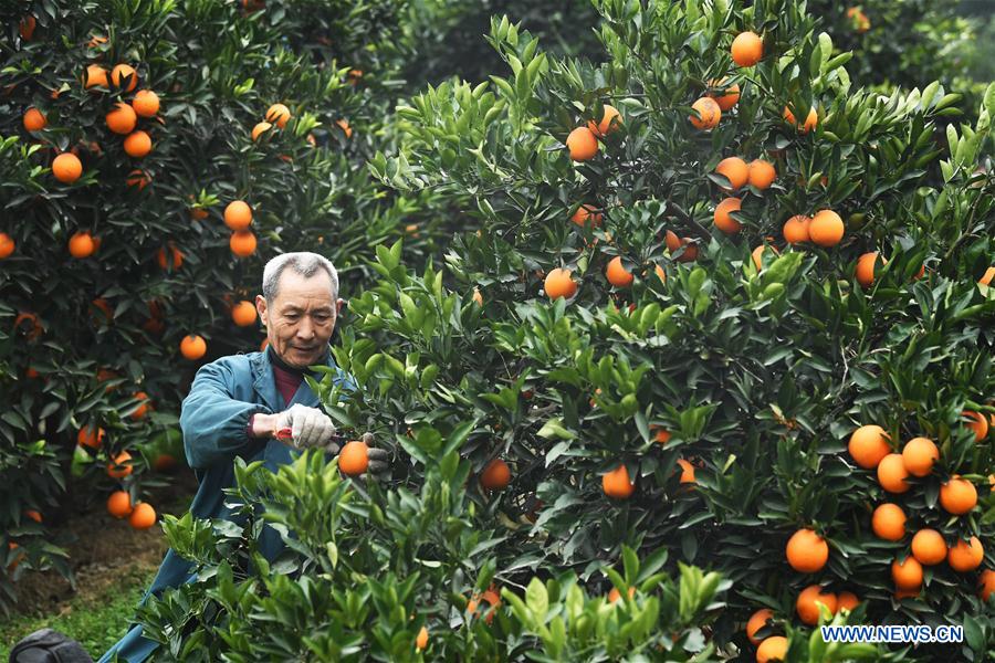 CHINA-THREE GORGES-CHONGQING-GREEN DEVELOPMENT (CN)