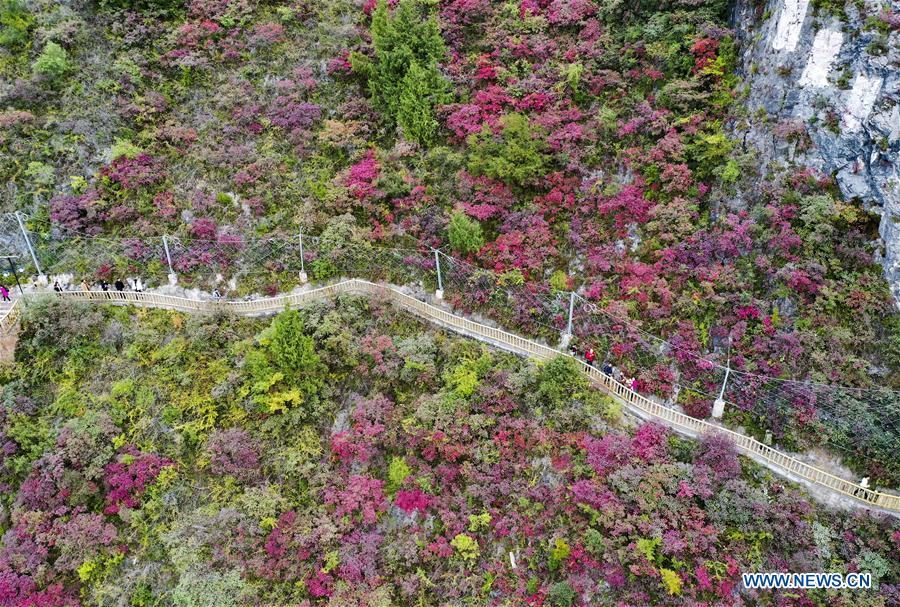 CHINA-THREE GORGES-CHONGQING-GREEN DEVELOPMENT (CN)