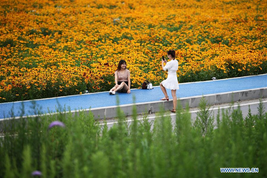 CHINA-THREE GORGES-CHONGQING-GREEN DEVELOPMENT (CN)