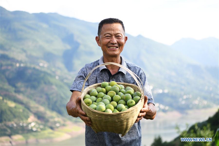 CHINA-THREE GORGES-CHONGQING-GREEN DEVELOPMENT (CN)