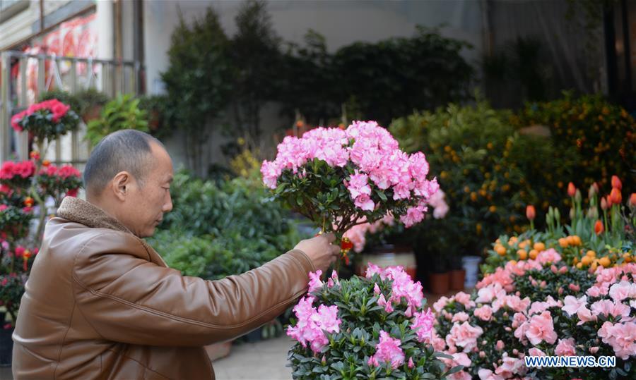 CHINA-HUNAN-CHINESE NEW YEAR-FLOWER ECONOMY (CN)