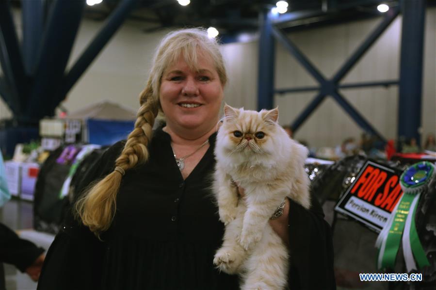 Houston Cat Club Annual Charity Cat Show held in Texas, U.S. Xinhua