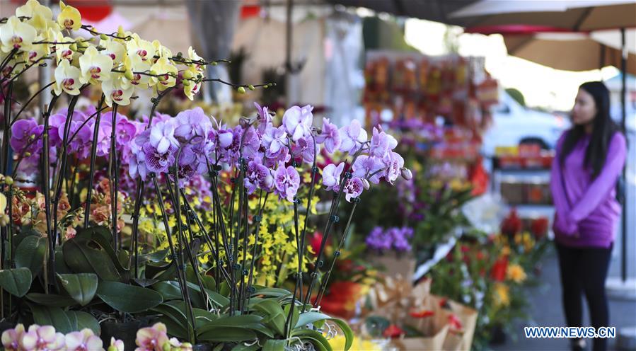 U.S.-WESTMINSTER-LUNAR NEW YEAR-FLOWER