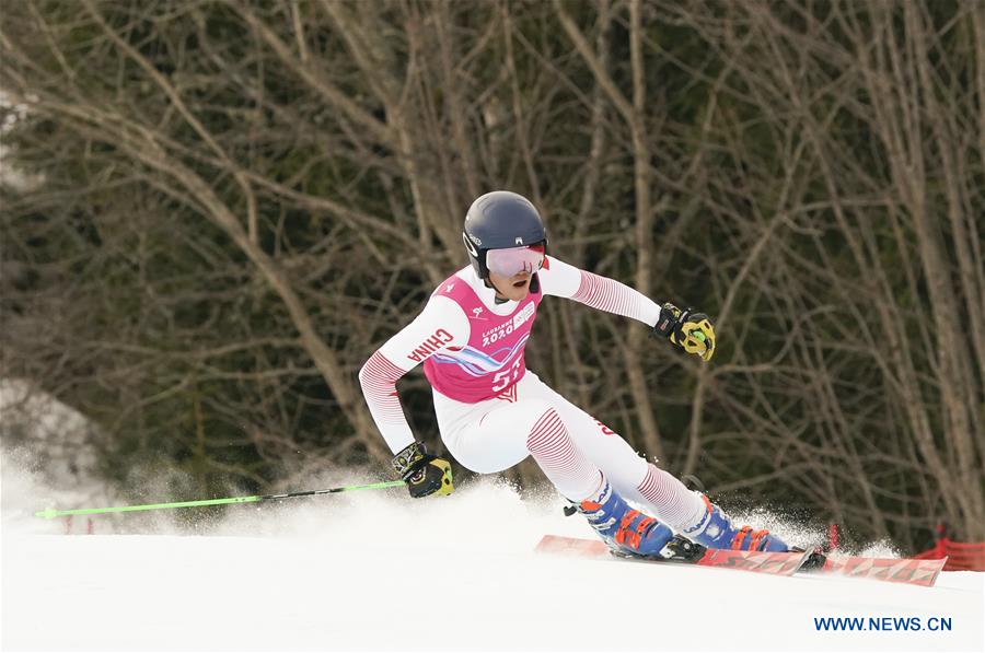 (SP)SWITZERLAND-LES DIABLERETS-WINTER YOG-ALPINE SKIING-MEN'S GIANT SLALOM