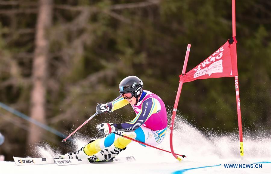 (SP)SWITZERLAND-LES DIABLERETS-WINTER YOG-ALPINE SKIING-MEN'S GIANT SLALOM