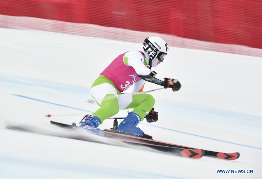 (SP)SWITZERLAND-LES DIABLERETS-WINTER YOG-ALPINE SKIING-MEN'S GIANT SLALOM