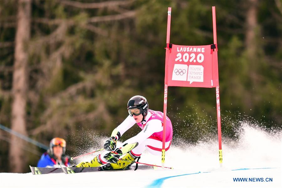 (SP)SWITZERLAND-LES DIABLERETS-WINTER YOG-ALPINE SKIING-MEN'S GIANT SLALOM