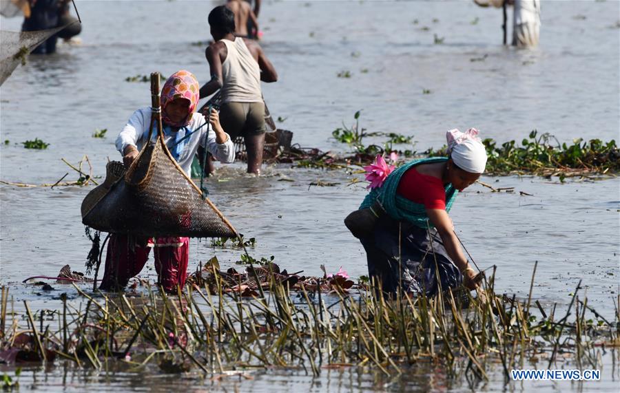 INDIA-ASSAM-COMMUNITY FISHING