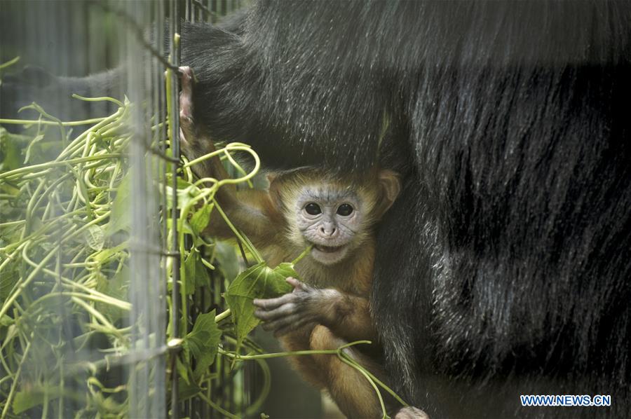 XINHUA PHOTOS OF THE DAY