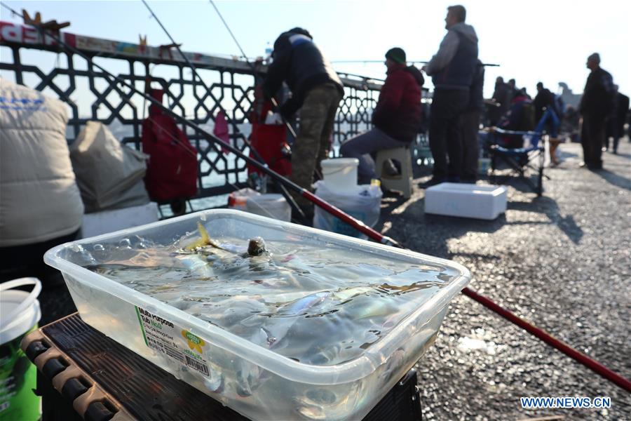 TURKEY-ISTANBUL-FISHING ENTHUSIASTS