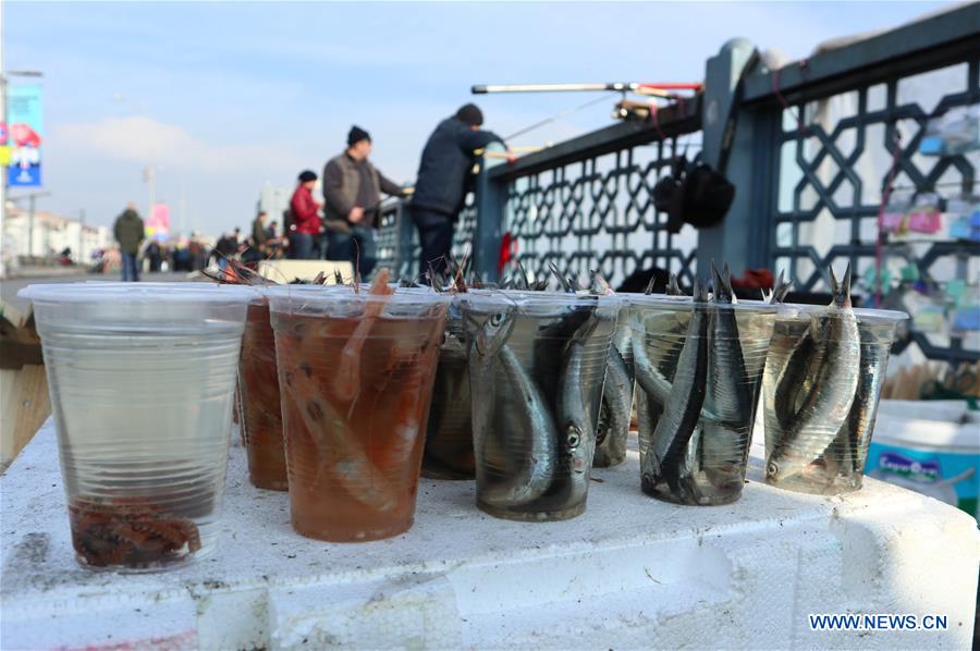 TURKEY-ISTANBUL-FISHING ENTHUSIASTS