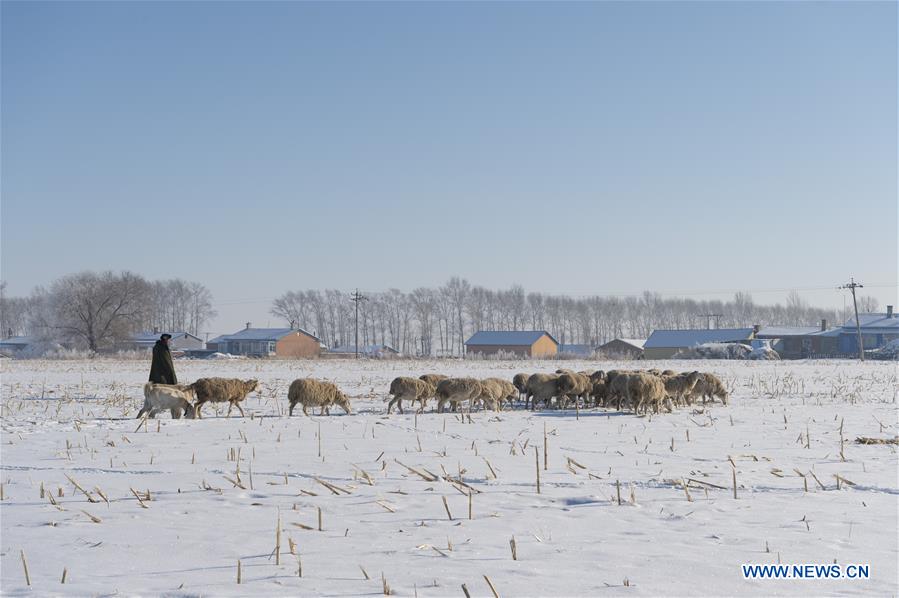 CHINA-HEILONGJIANG-WINTER SCENERY (CN)