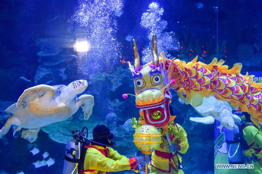 MALAYSIA-KUALA LUMPUR-UNDERWATER-DRAGON DANCE