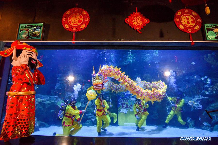 MALAYSIA-KUALA LUMPUR-UNDERWATER-DRAGON DANCE