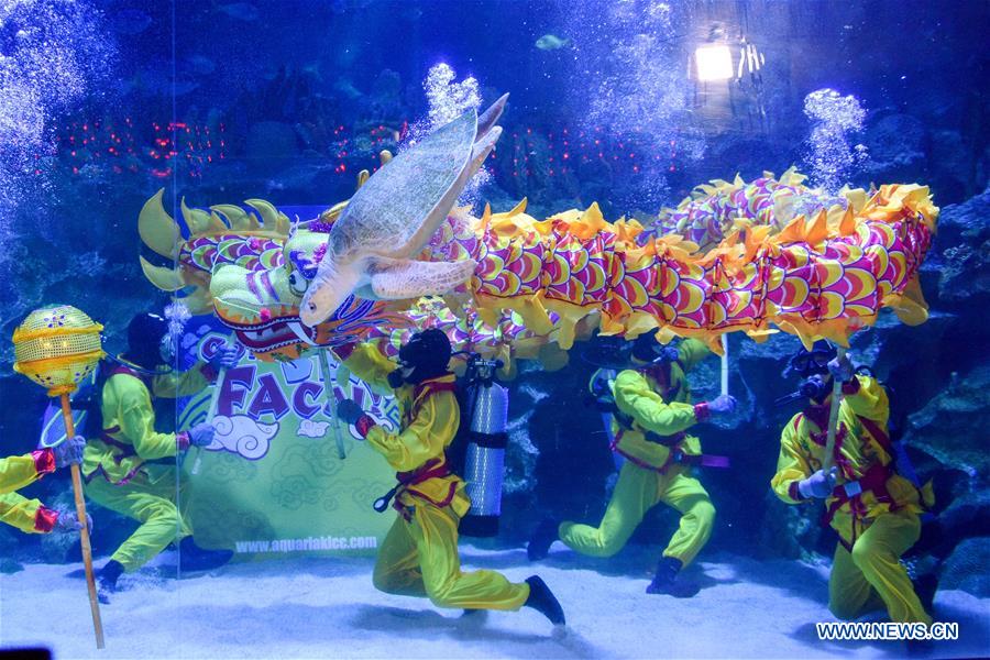 MALAYSIA-KUALA LUMPUR-UNDERWATER-DRAGON DANCE