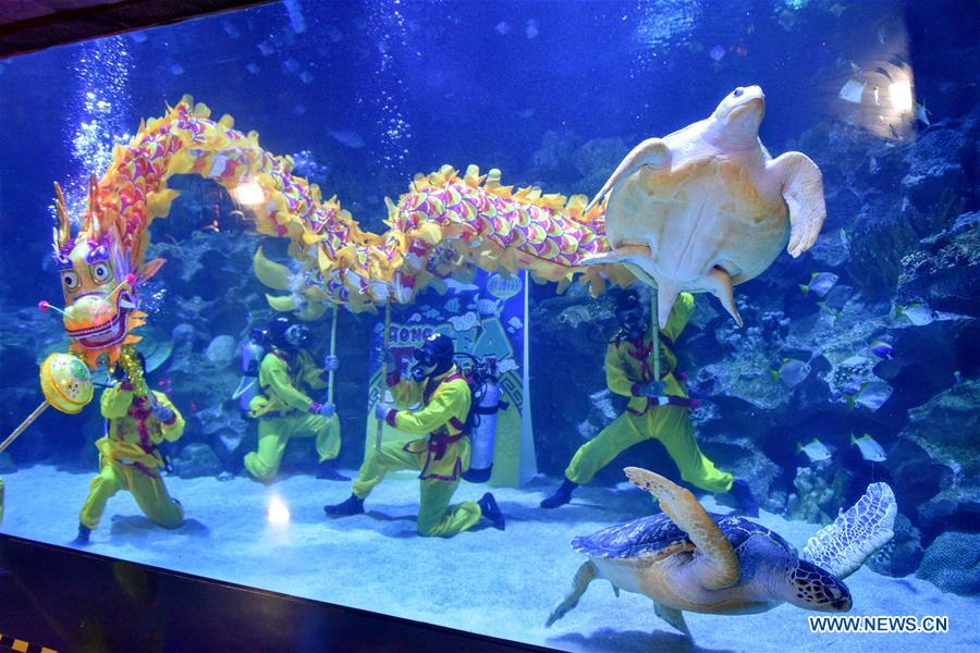 MALAYSIA-KUALA LUMPUR-UNDERWATER-DRAGON DANCE