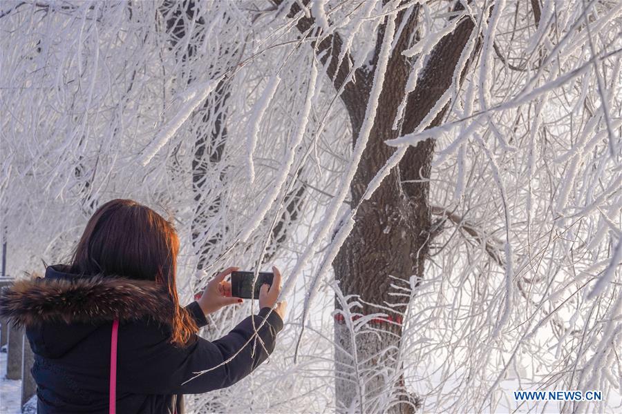 CHINA-JILIN-FROSTY SCENERY (CN)