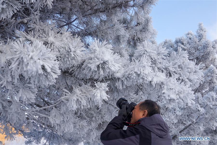 CHINA-JILIN-FROSTY SCENERY (CN)