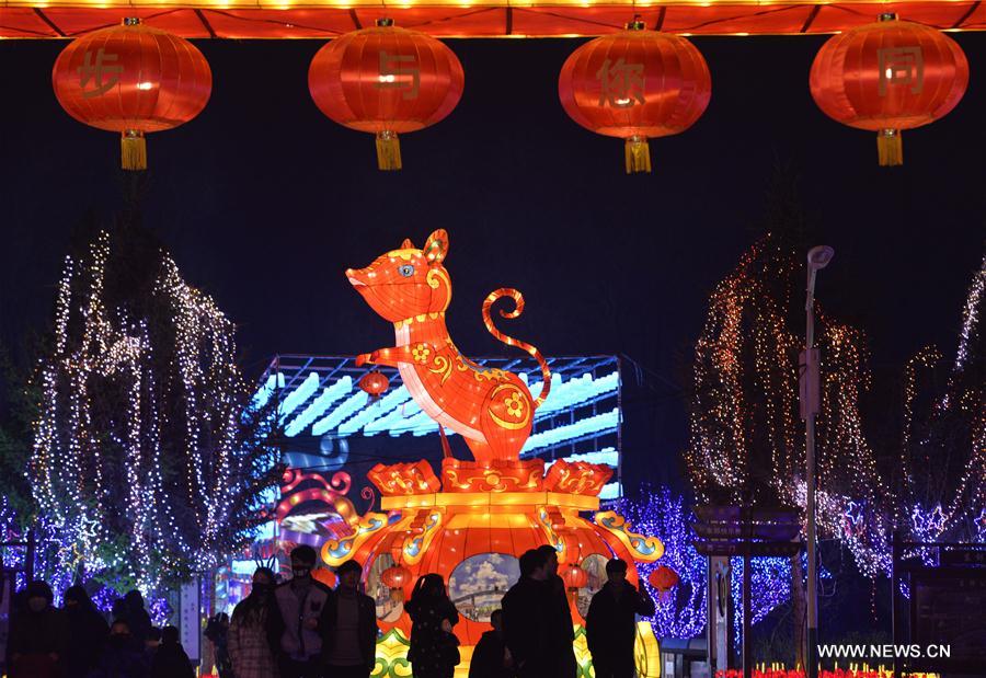 #CHINA-LANTERN SHOW-SPRING FESTIVAL (CN)