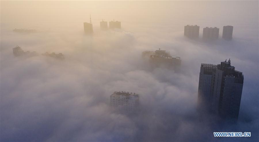 #CHINA-SHANXI-YUNCHENG-ADVECTION FOG (CN)