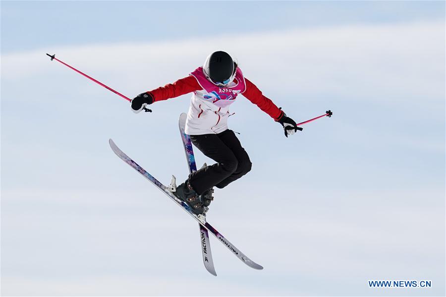 (SP)SWITZERLAND-LEYSIN-WINTER YOG-FREESTYLE SKIING-WOMEN'S FREESKI BIG AIR