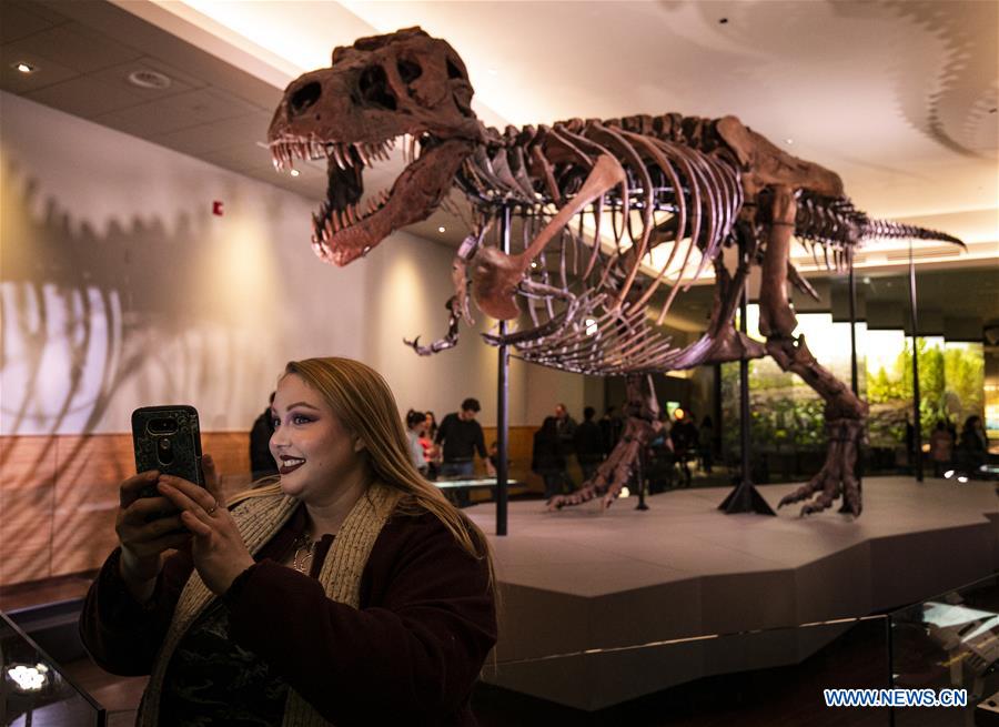 U.S.-CHICAGO-FIELD MUSEUM