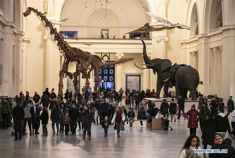 U.S.-CHICAGO-FIELD MUSEUM