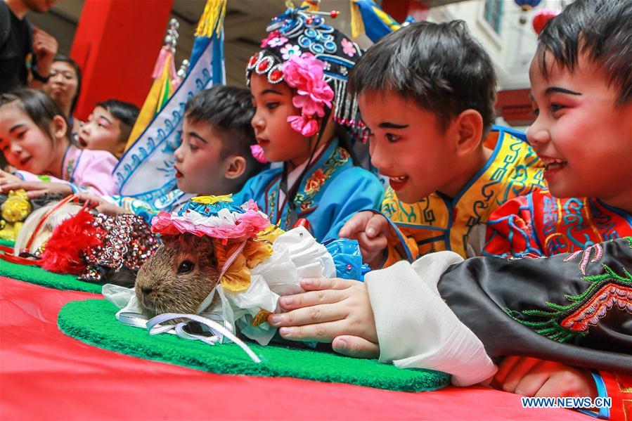 PHILIPPINES-MANILA-CHINESE LUNAR NEW YEAR-CELEBRATIONS