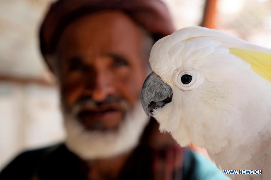 YEMEN-SANAA-ZOO-STARVING ANIMALS