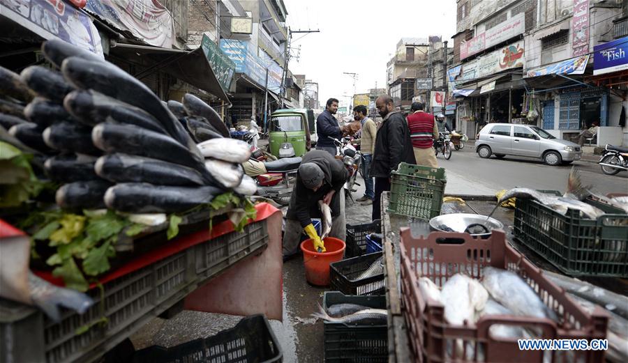 PAKISTAN-RAWALPINDI-DAILY LIFE-FISH MARKET