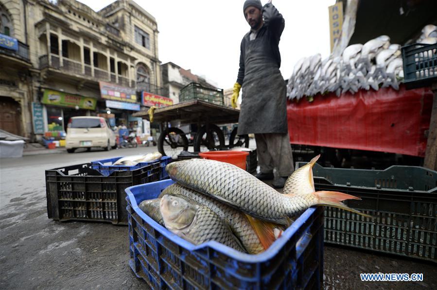 PAKISTAN-RAWALPINDI-DAILY LIFE-FISH MARKET