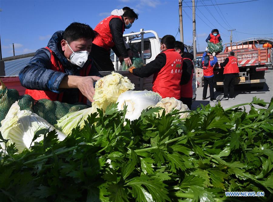 CHINA-SHANDONG-QINGDAO-VEGETABLE-DONATION (CN)