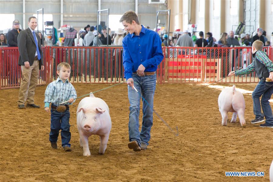 U.S.-TEXAS-FORT WORTH-STOCK SHOW AND RODEO