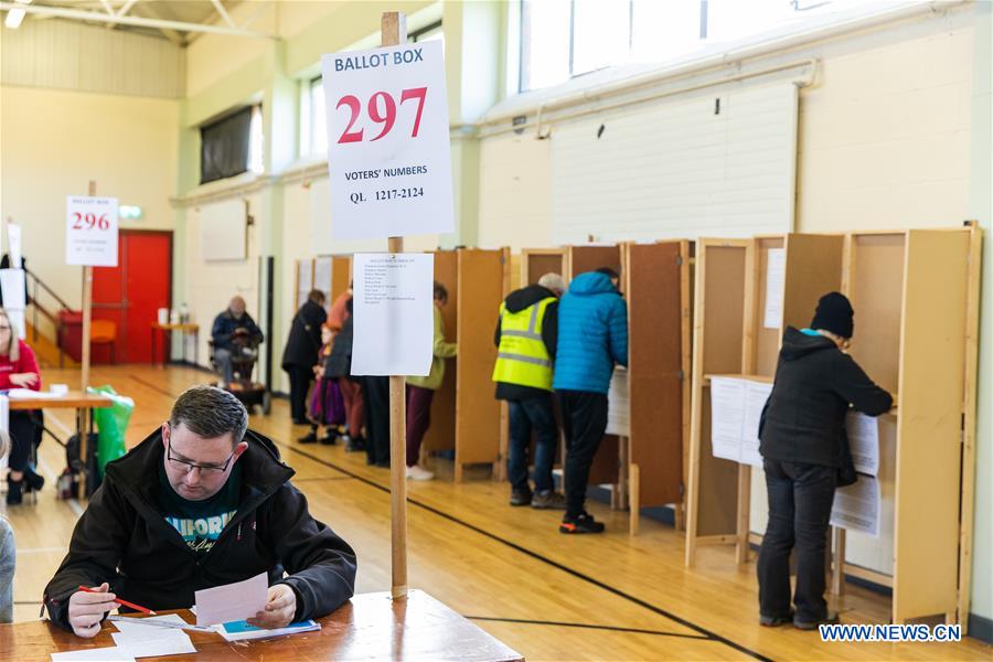 IRELAND-DUBLIN-GENERAL ELECTION