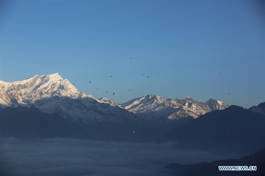 NEPAL-MYAGDI-POON HILL-SCENERY