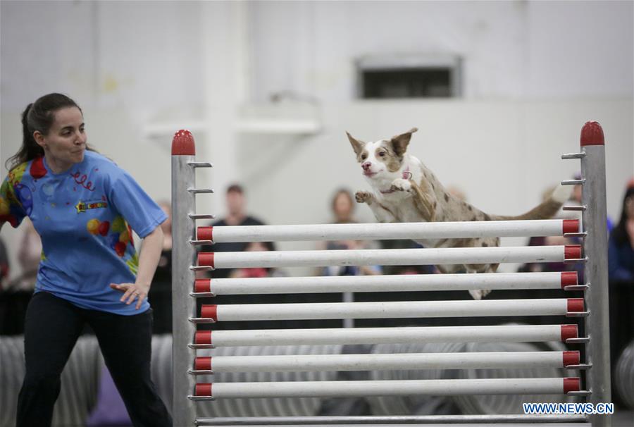 CANADA-ABBOTSFORD-PET LOVER SHOW