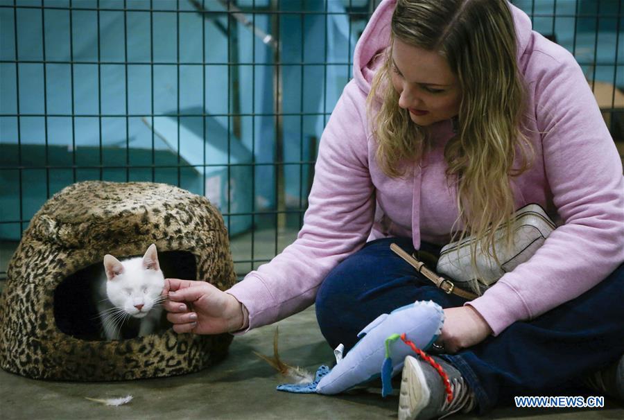 CANADA-ABBOTSFORD-PET LOVER SHOW