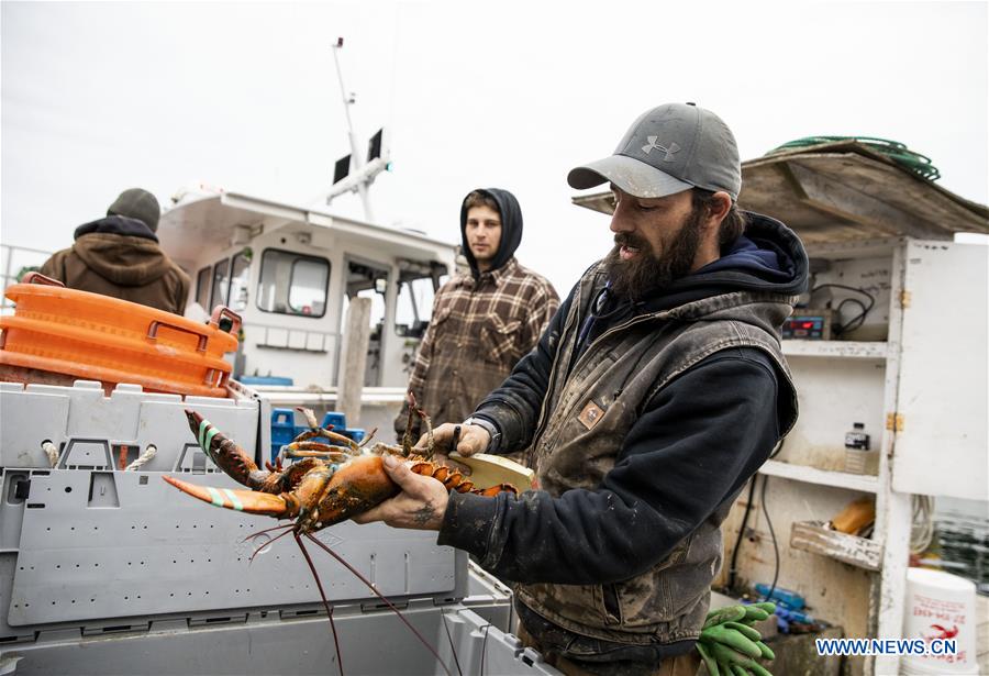 U.S.-MAINE-STONINGTON-LOBSTER INDUSTRY-CHINESE MARKET