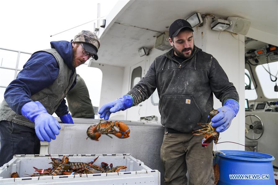 U.S.-MAINE-STONINGTON-LOBSTER INDUSTRY-CHINESE MARKET