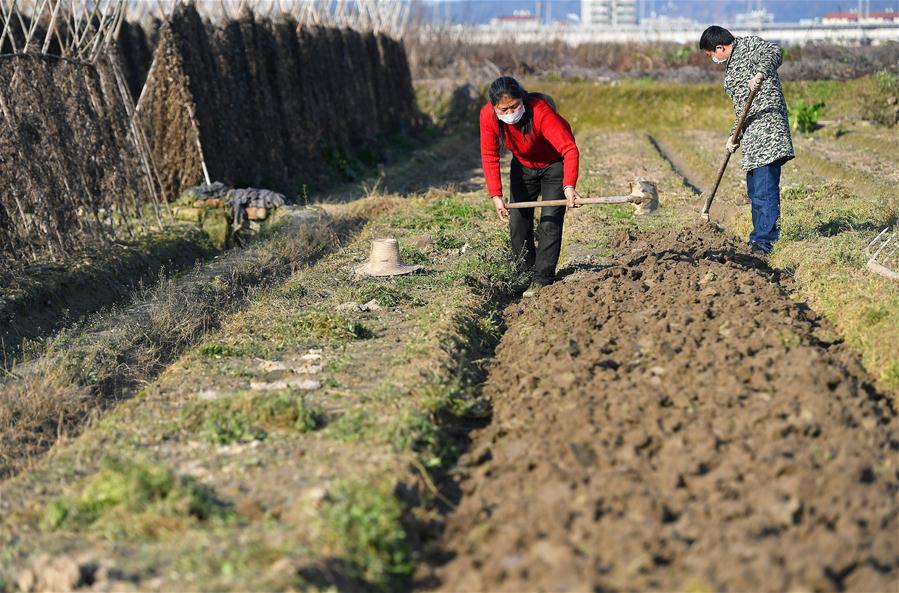 CHINA-JIANGXI-NANCHANG-SPRING PLOUGHING (CN)