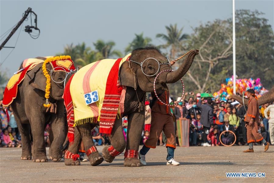 LAOS-XAYABOURY-ELEPHANT FESTIVAL