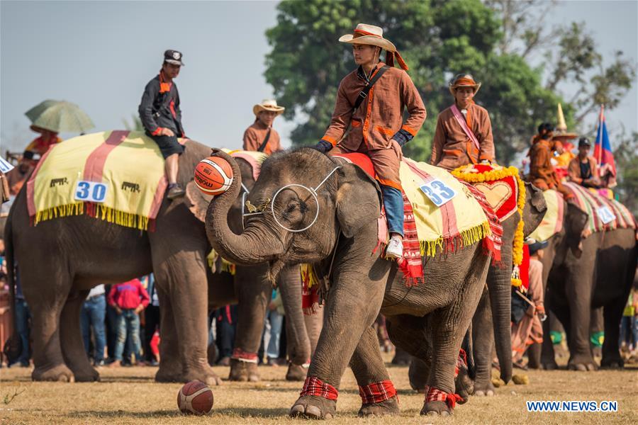 LAOS-XAYABOURY-ELEPHANT FESTIVAL