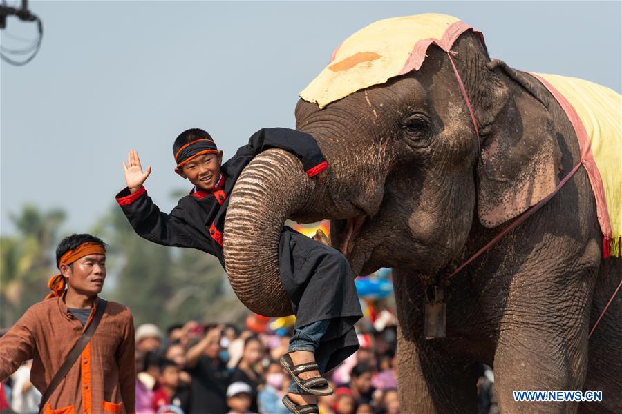 LAOS-XAYABOURY-ELEPHANT FESTIVAL