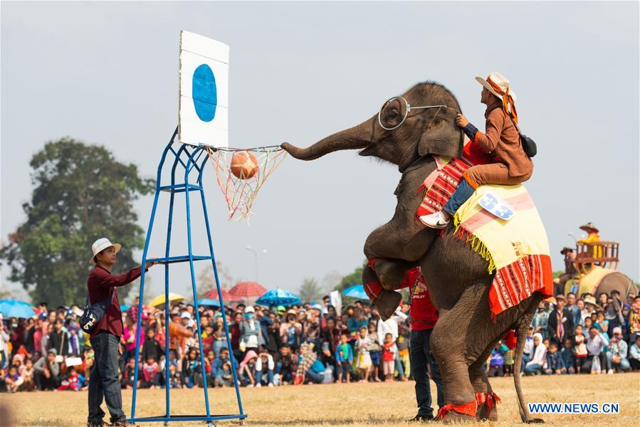 LAOS-XAYABOURY-ELEPHANT FESTIVAL