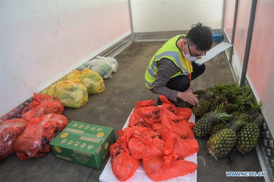 CHINA-HAINAN-HAIKOU-VEGETABLE SUPPLY (CN)