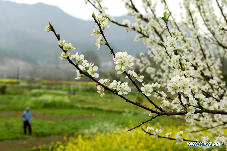 #CHINA-SPRING-FARMING (CN)