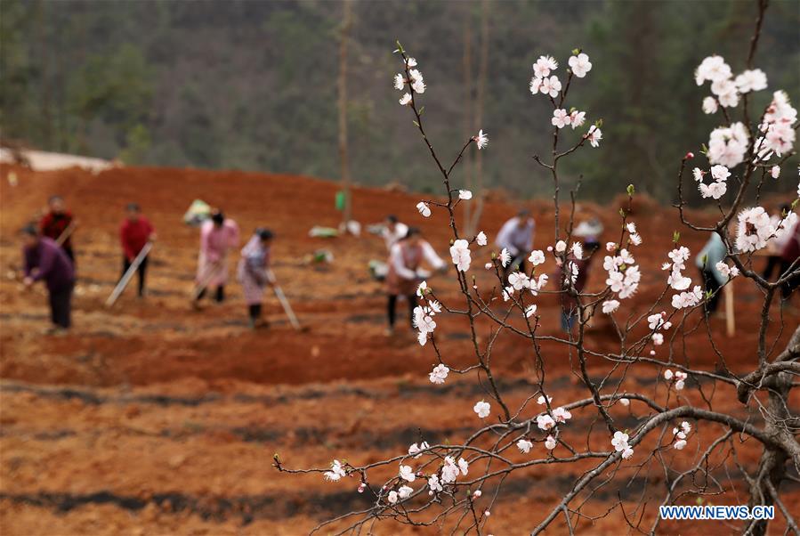 #CHINA-SPRING-FARMING (CN)