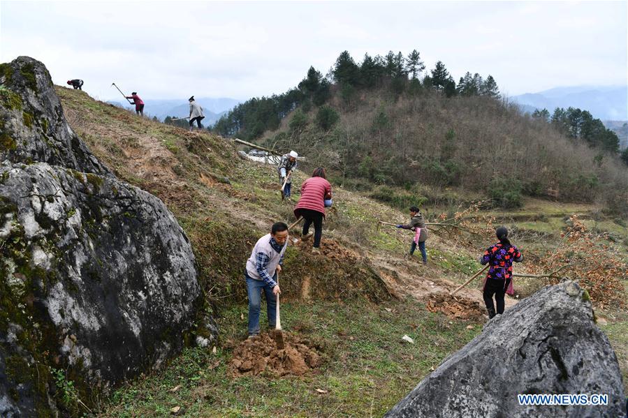 CHINA-GUIZHOU-SPRING-AGRICULTURE (CN)