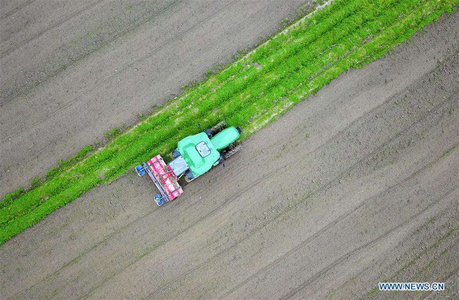 CHINA-GUIZHOU-SPRING-AGRICULTURE (CN)