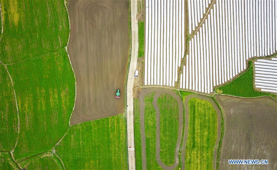 CHINA-GUIZHOU-SPRING-AGRICULTURE (CN)